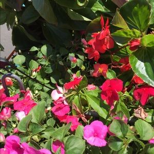 Meet your Posher, Eileen